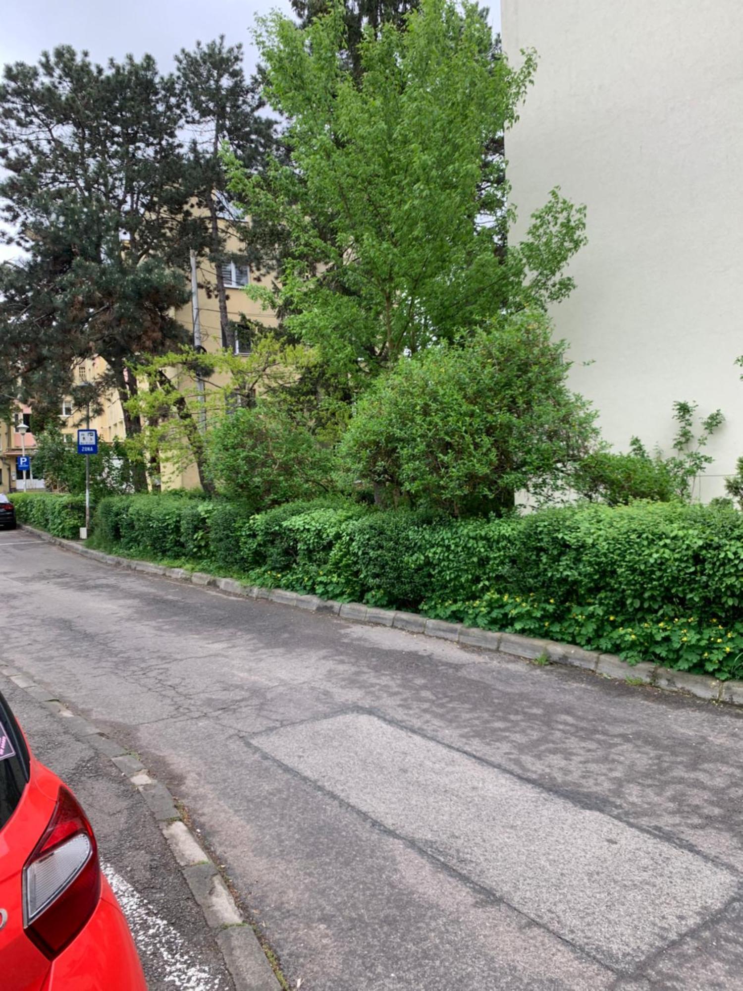 River House Apartamento Cluj-Napoca Exterior foto